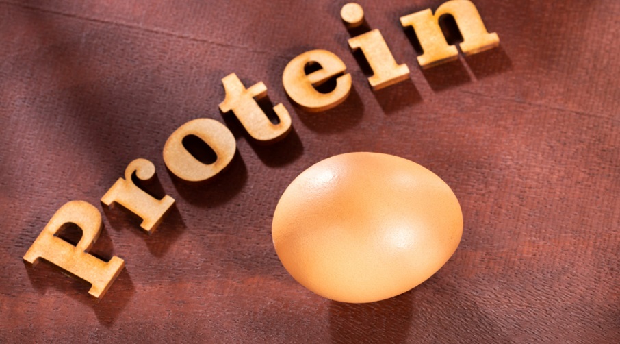 The Importance of Protein After Bariatric Surgery