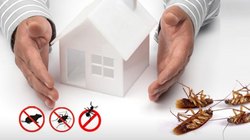 Eco-Friendly Pest Control Methods for Your Home